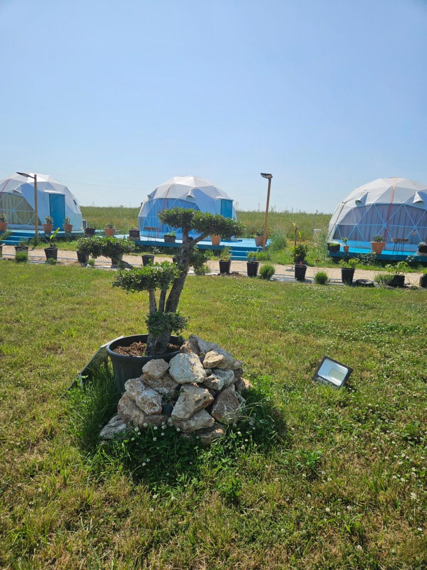 Mar A Lago Glamping23 Douăzeci şi Trei August Exteriér fotografie